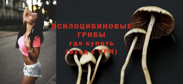 индика Домодедово