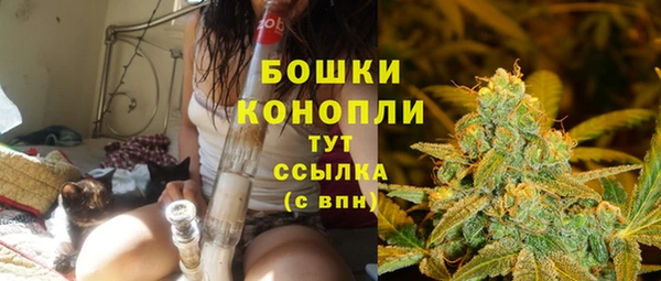 соль ск Медногорск
