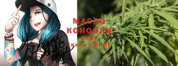 соль ск Медногорск