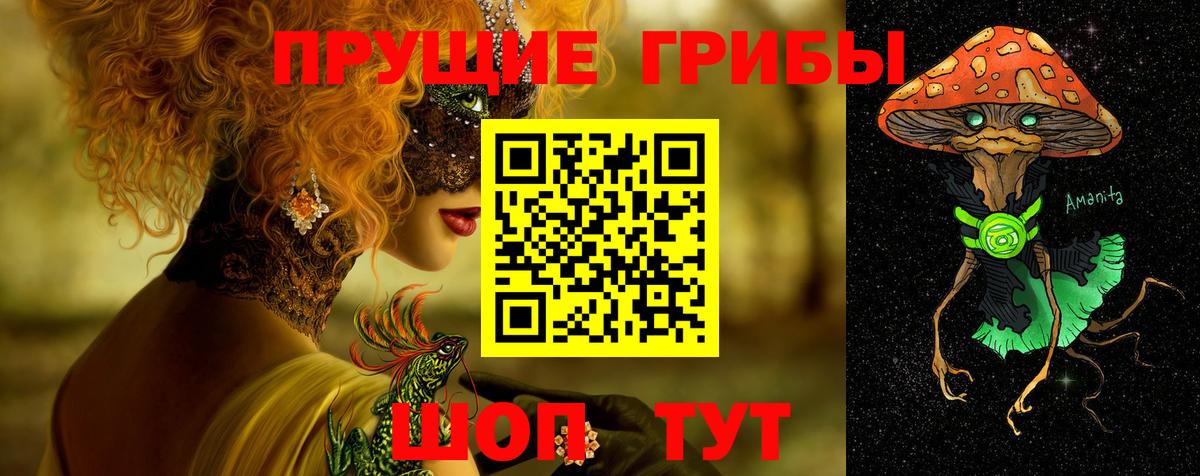 Псилоцибиновые грибы Psilocybe  Вход с VPN  Галлюциногенные грибы Psilocybe  Киреевск 